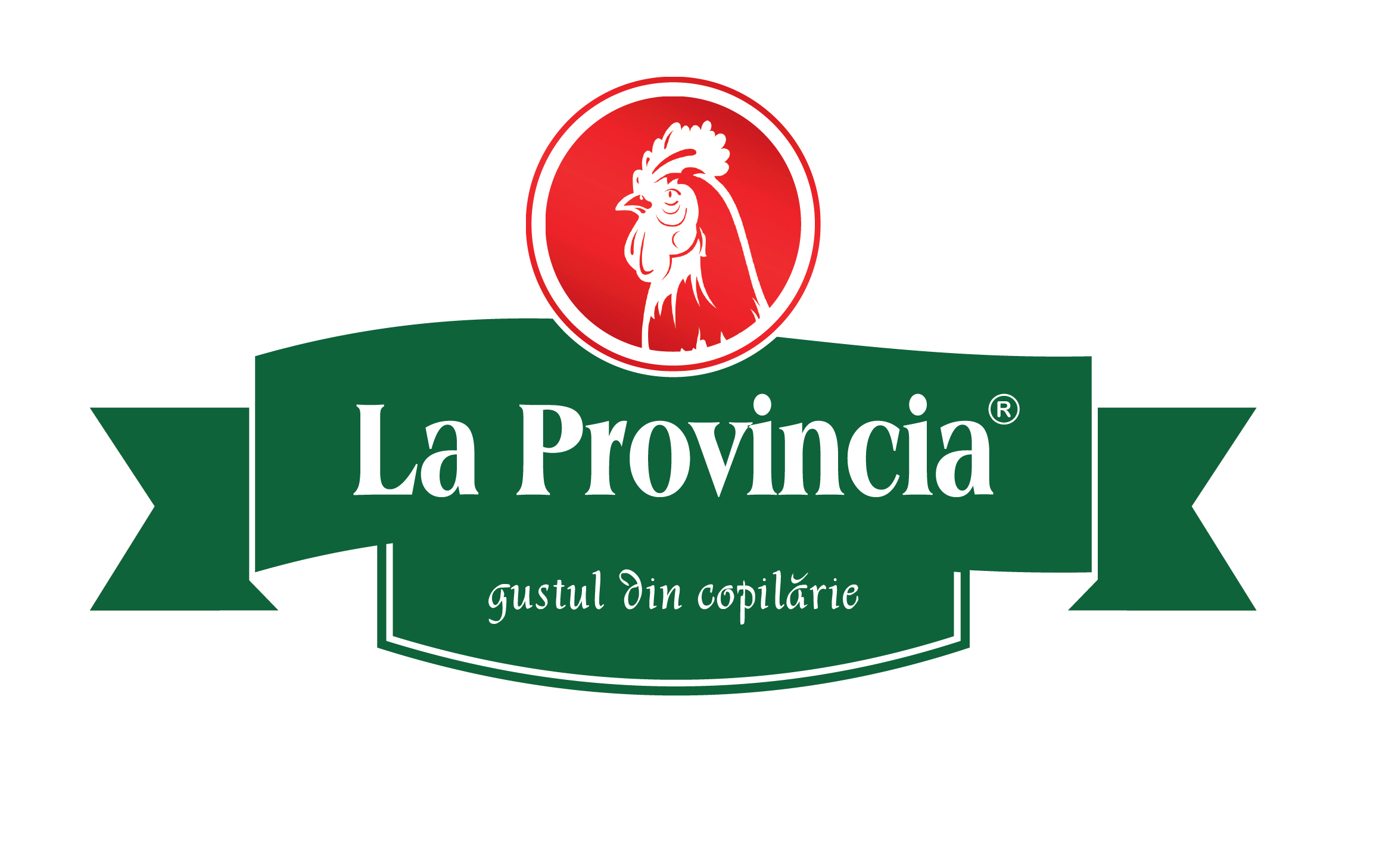 Logo La Provincia - Sisteme de securitate Life Lock Security Network